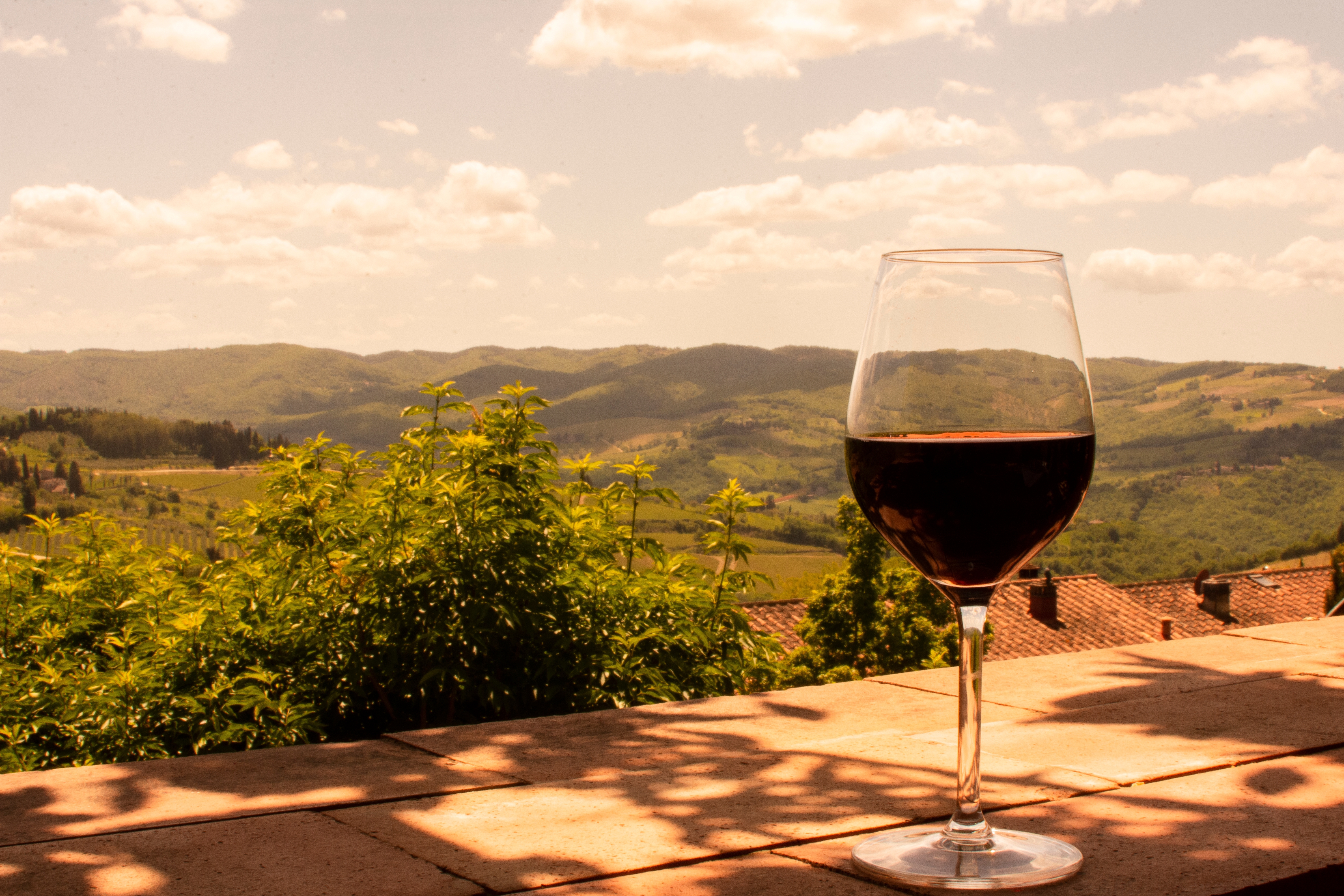 Vino Nobile di Montepulciano DOCG: un rosso tutto da scoprire Vino Nobile di Montepulciano DOCG: un rosso tutto da scoprire